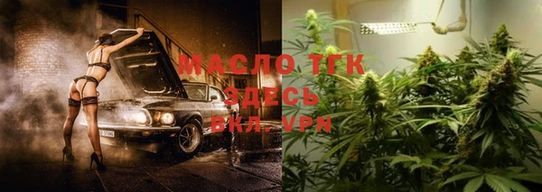тгк Пересвет