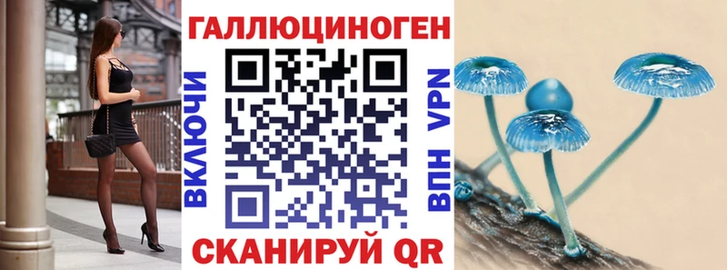 Галлюциногенные грибы Psilocybine cubensis  Нахабино 
